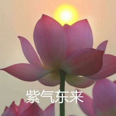 潮爆战纪九游版下载
